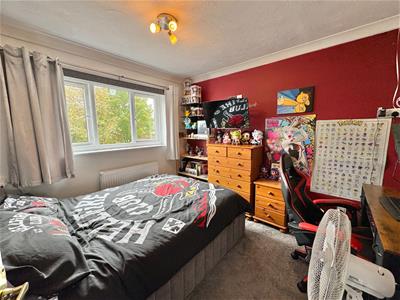 Picture 15